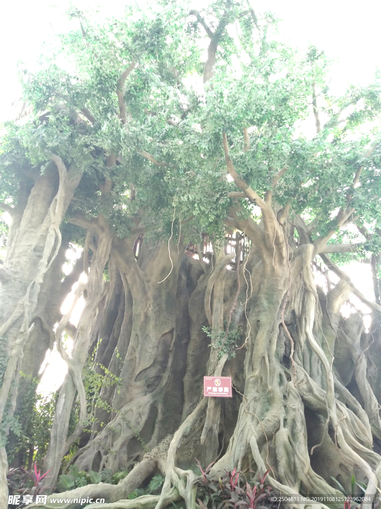 自然风景