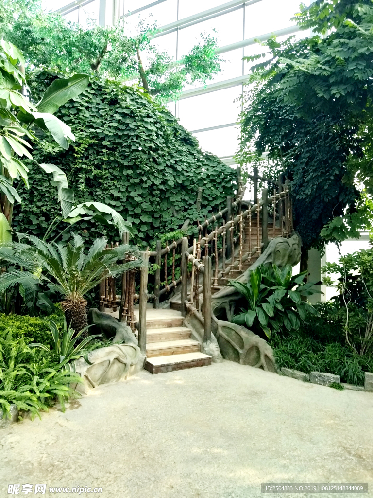 自然风景