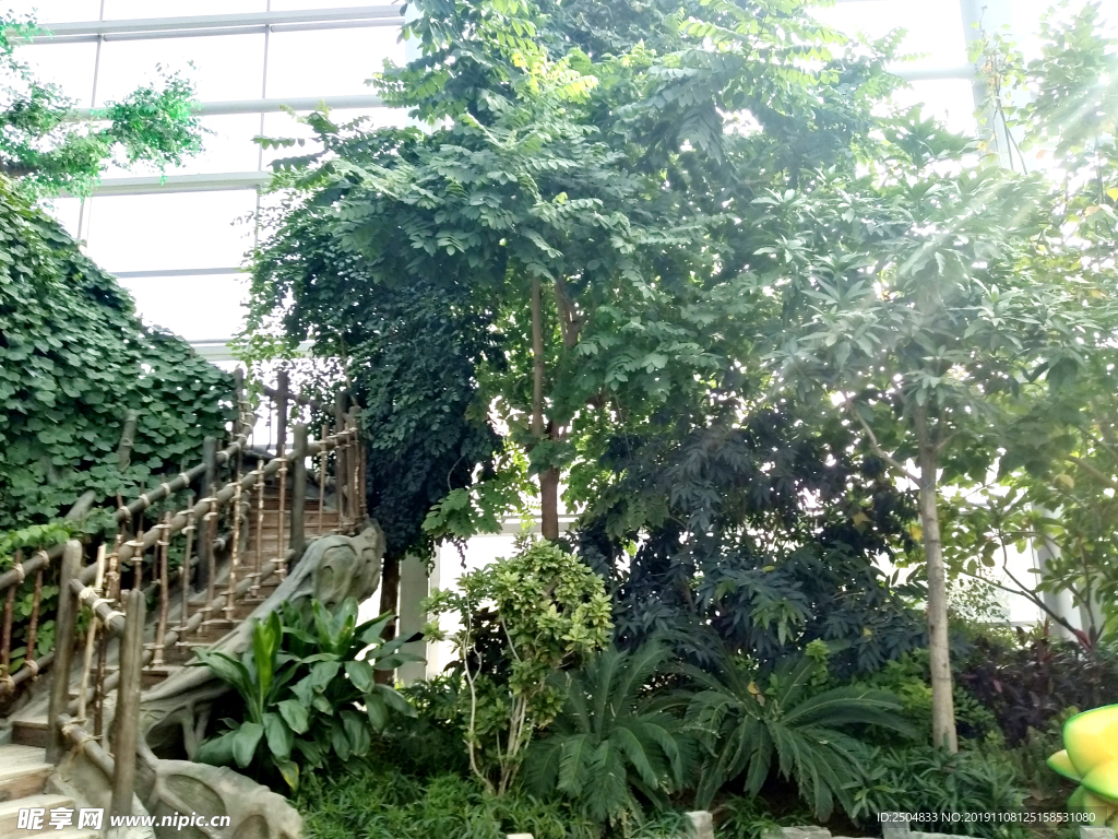 自然风景