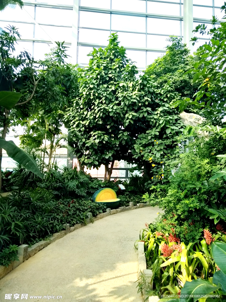 自然风景