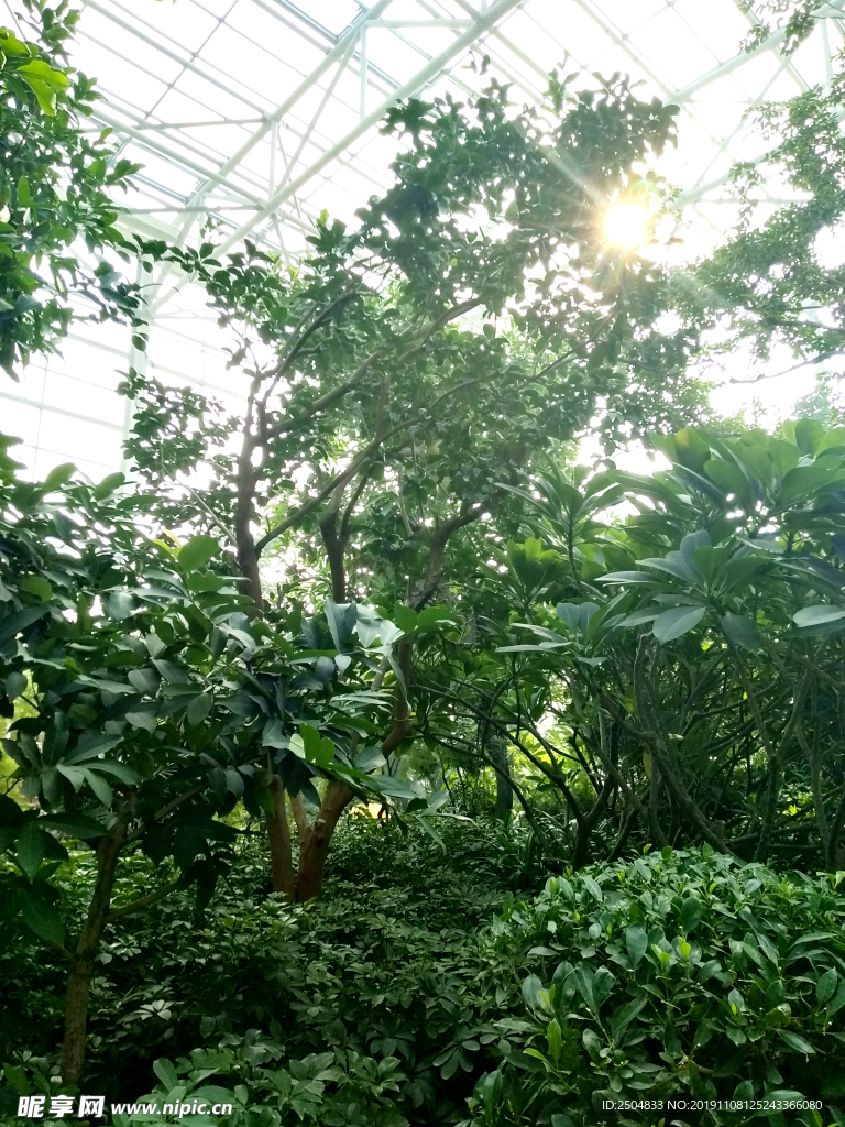 自然风景