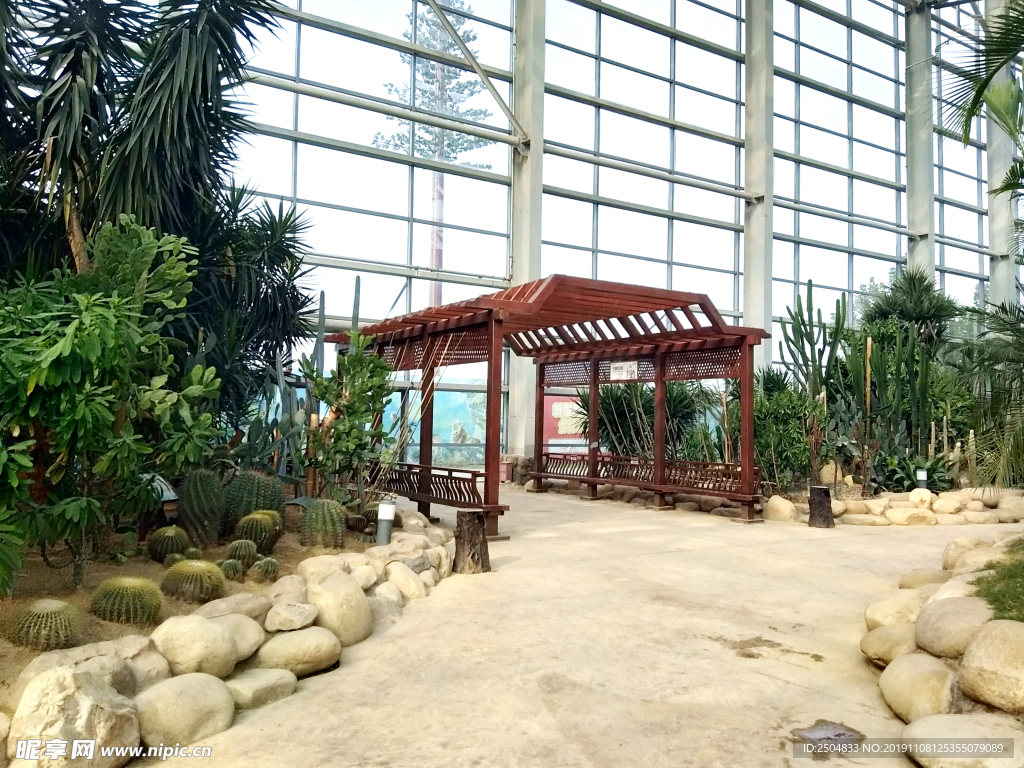 自然风景