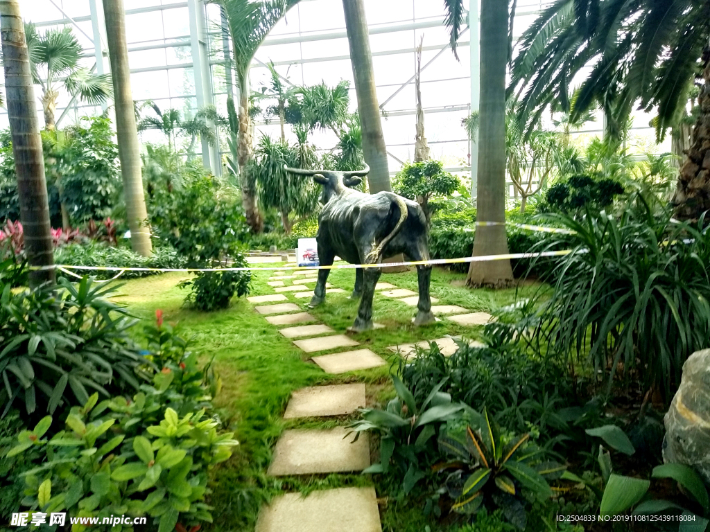 自然风景