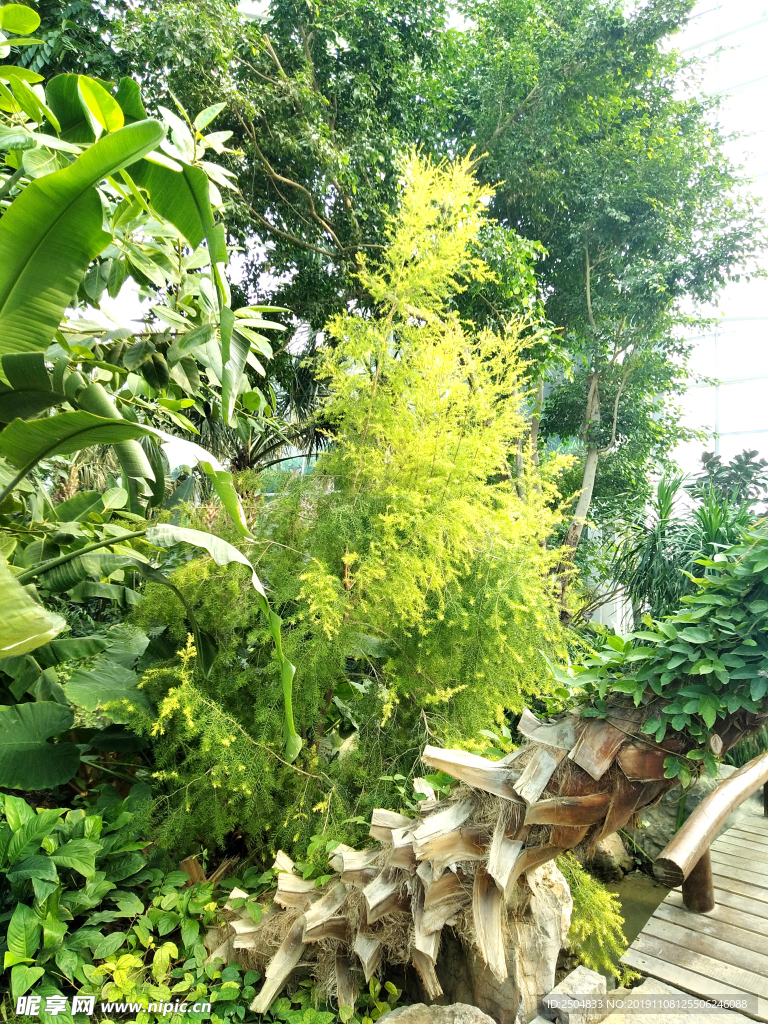 自然风景