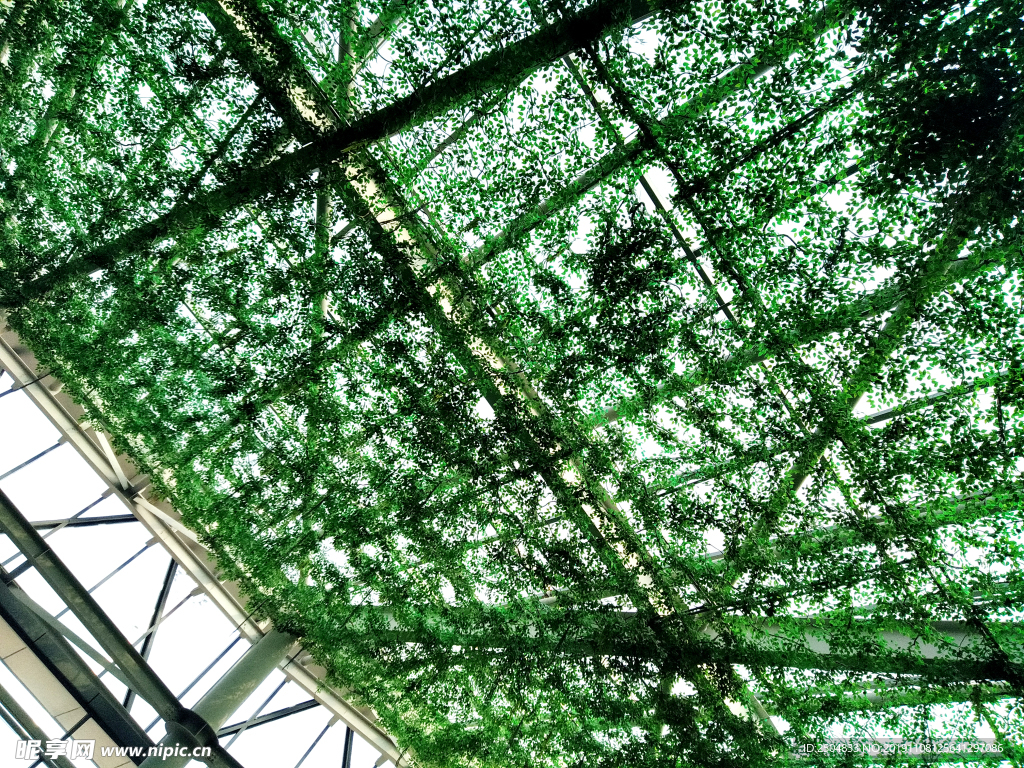 自然风景
