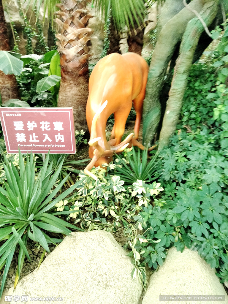 自然风景