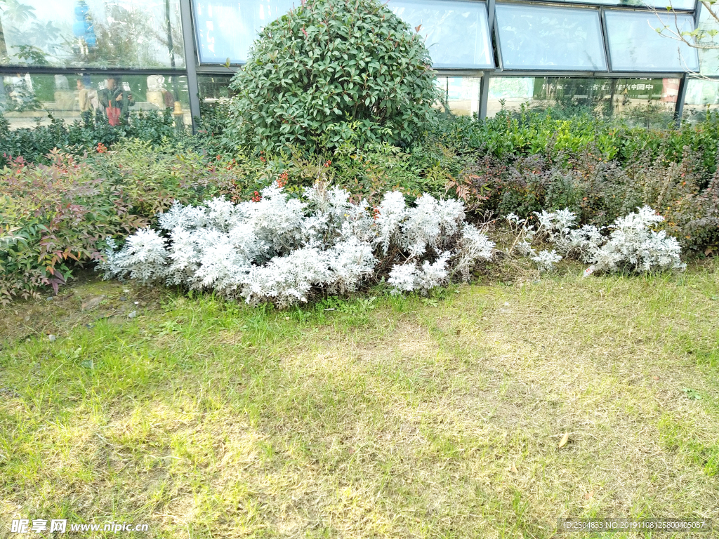 自然风景