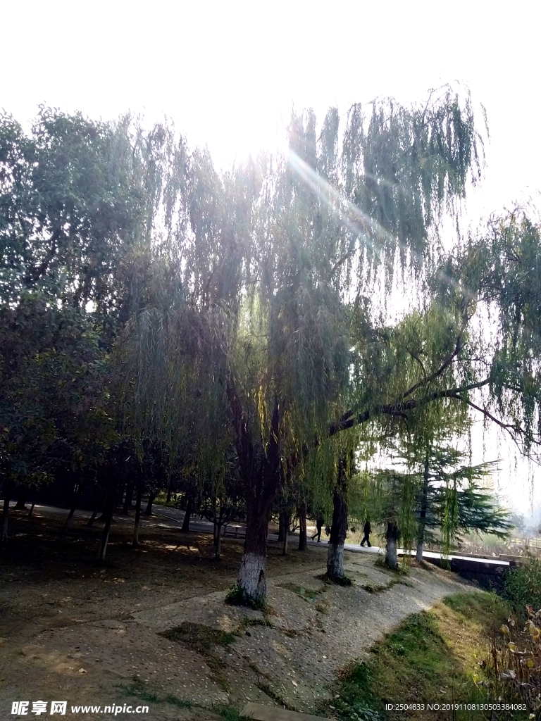 自然风景