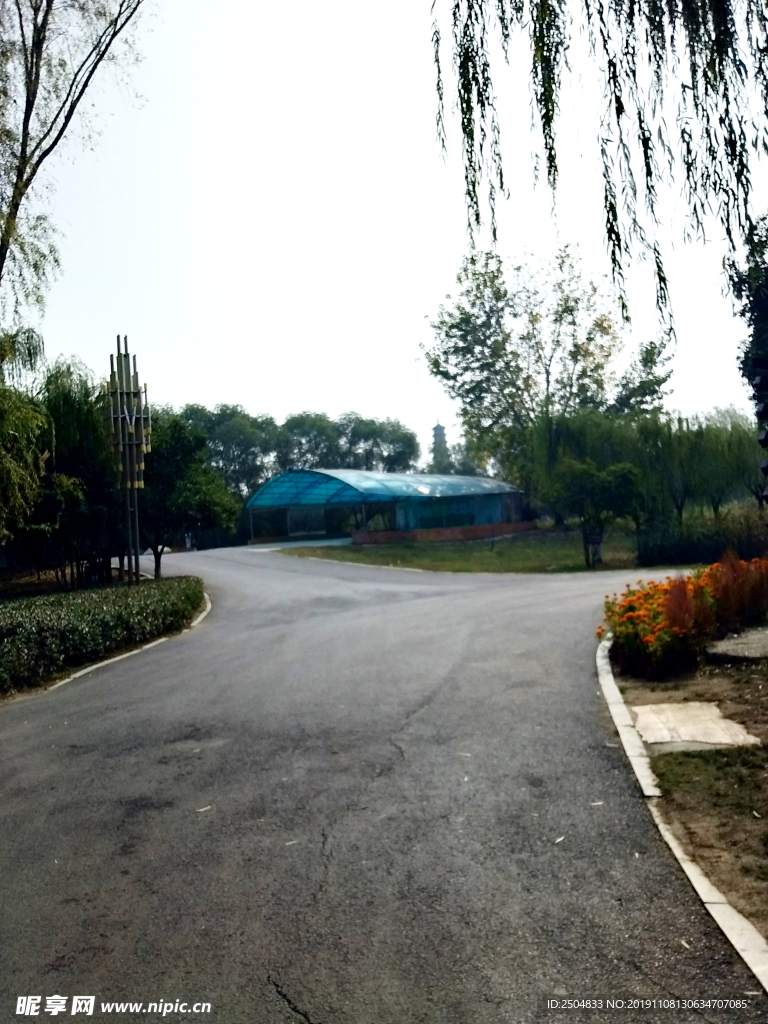 自然风景