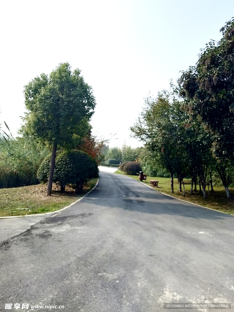 自然风景