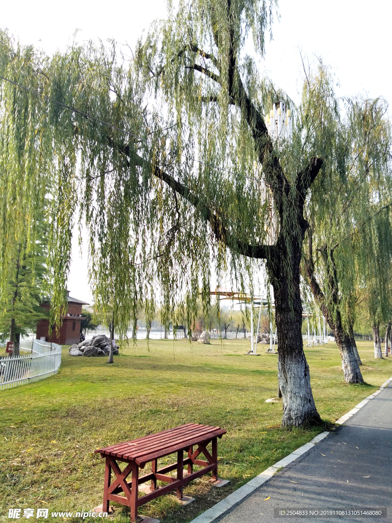 自然风景