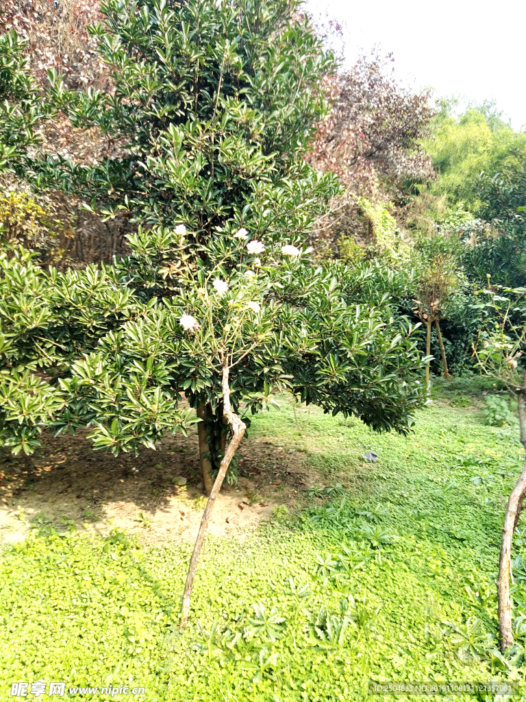 自然风景