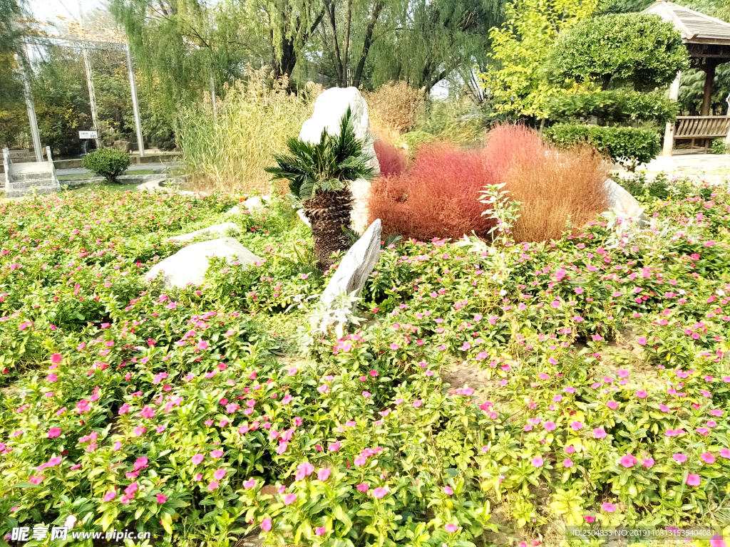 自然风景