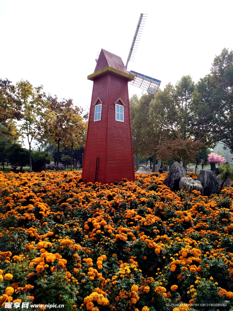 自然风景