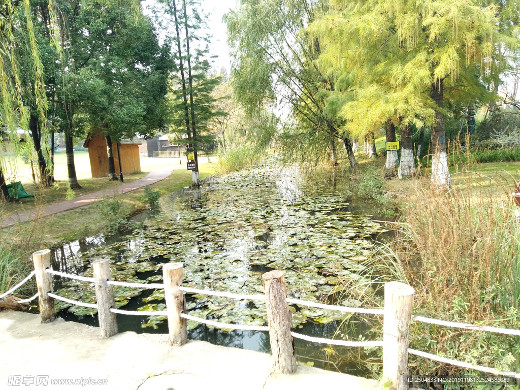 自然风景