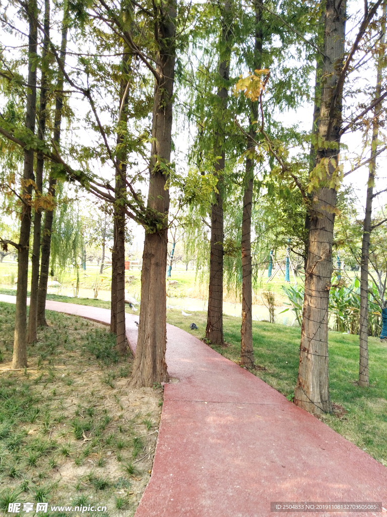 自然风景