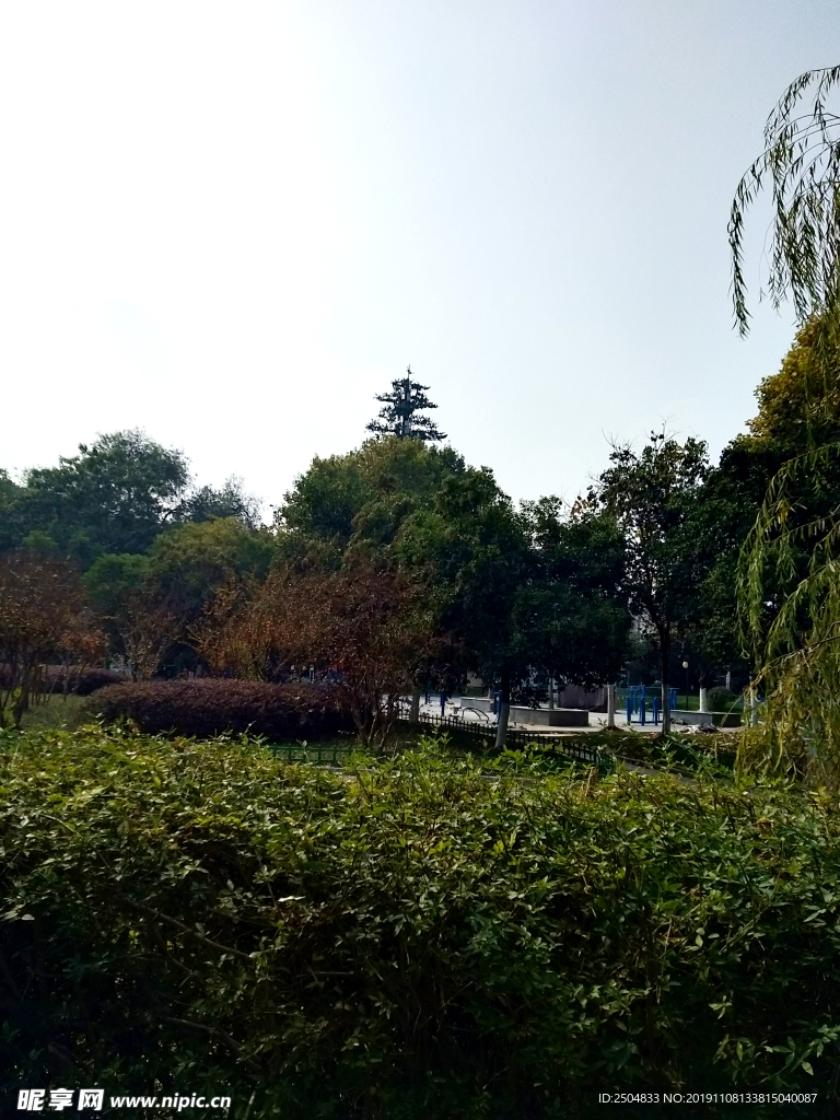 自然风景