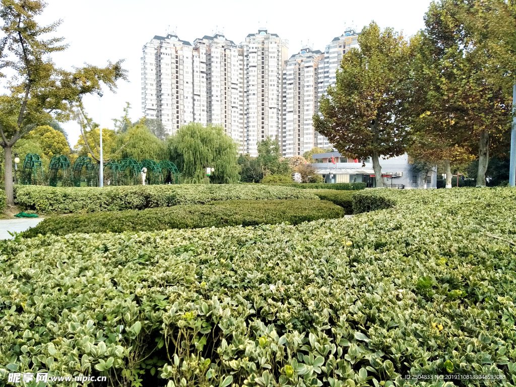 自然风景