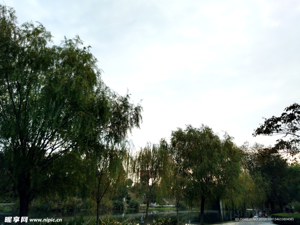 自然风景