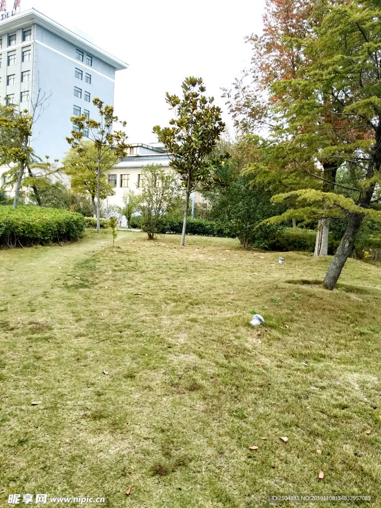 自然风景