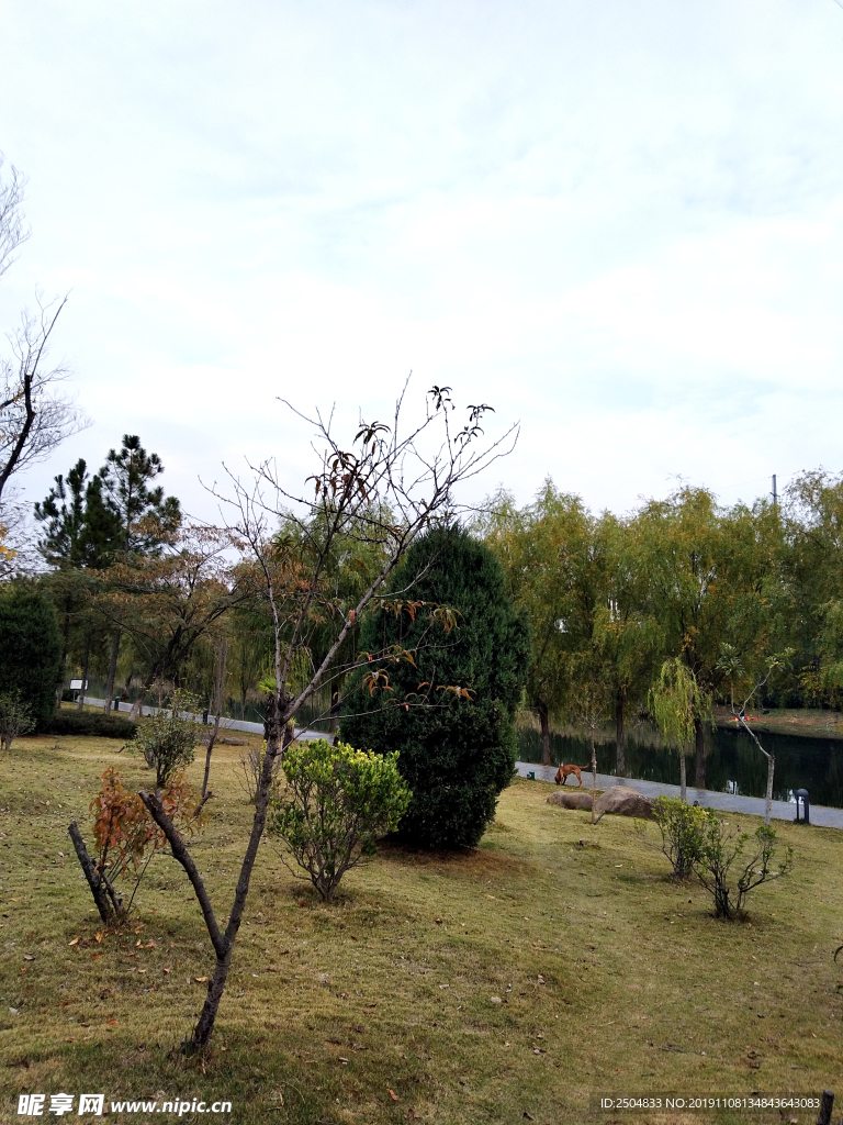 自然风景