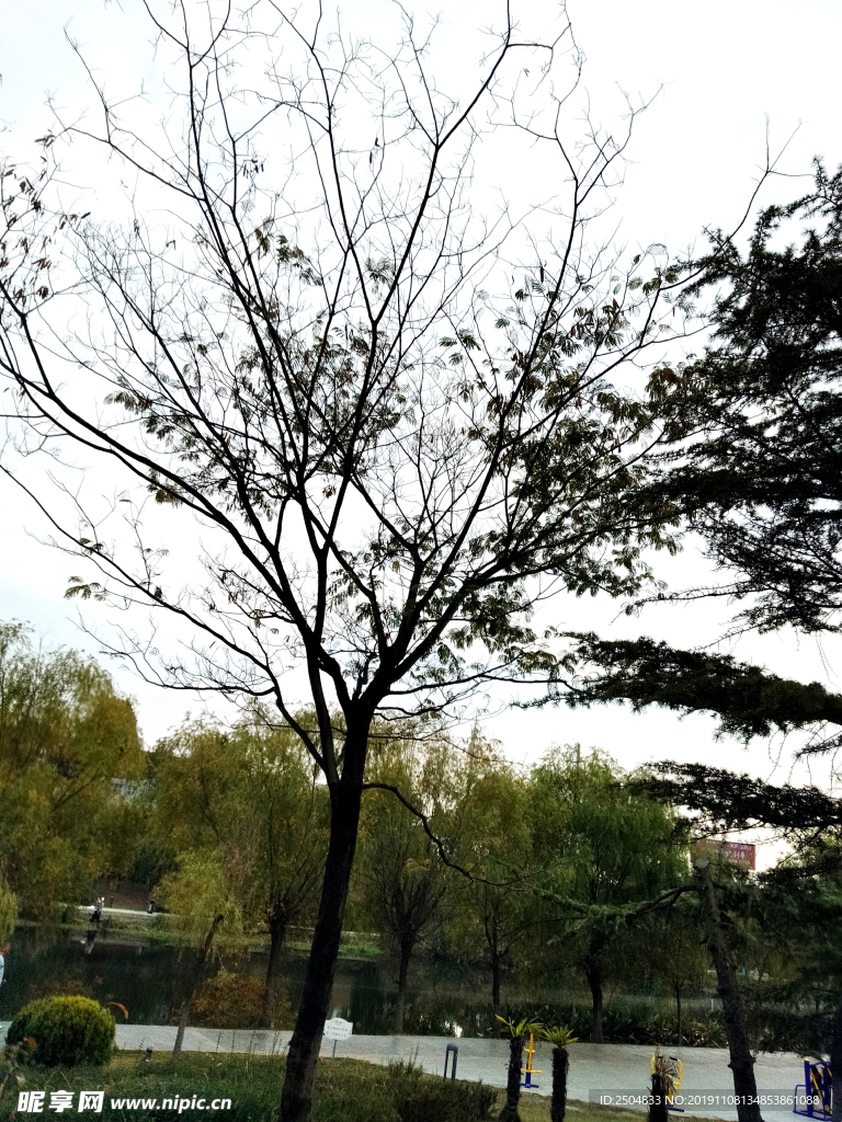 自然风景