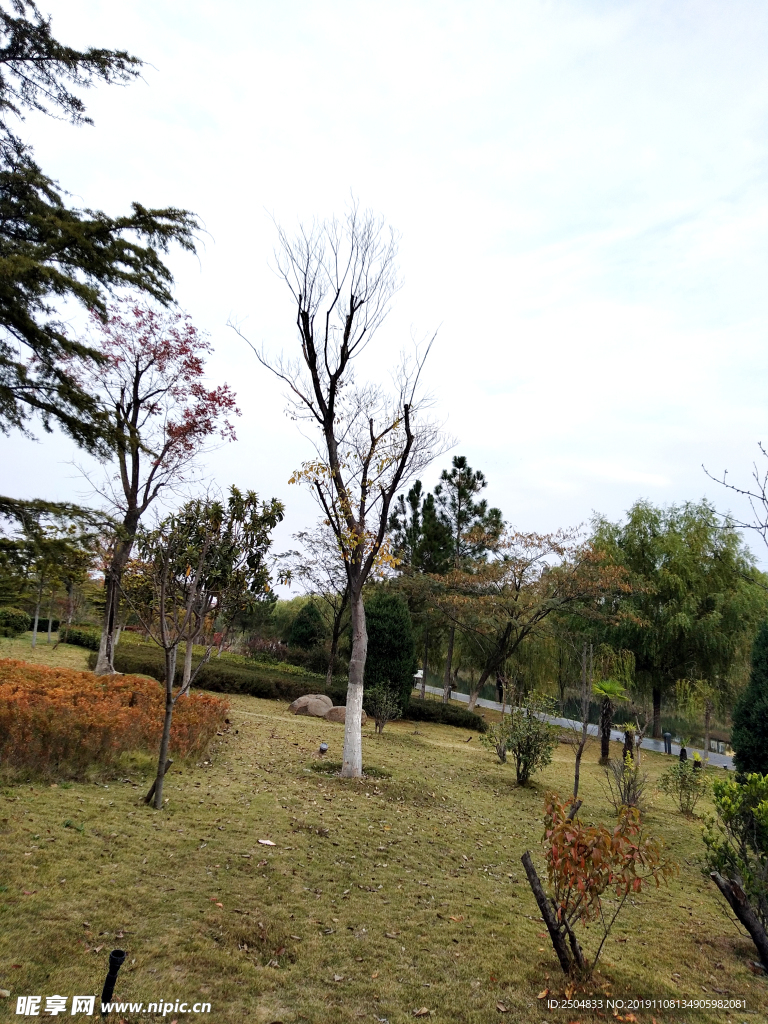 自然风景