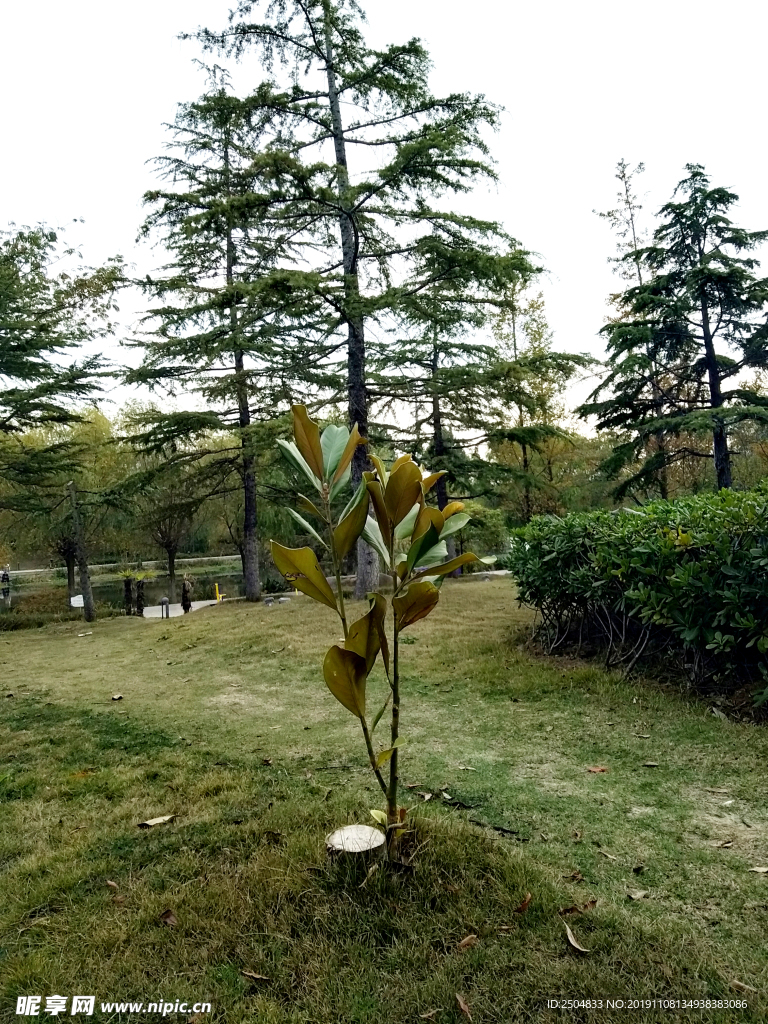自然风景