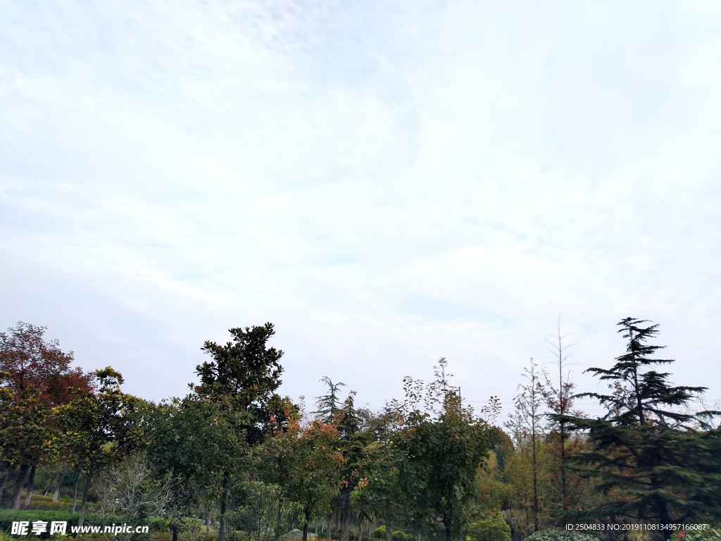 自然风景