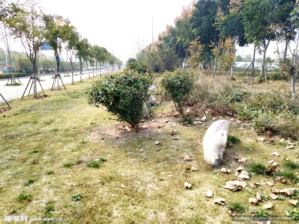 自然风景
