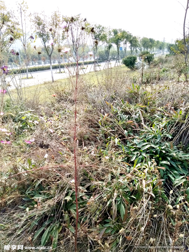 自然风景