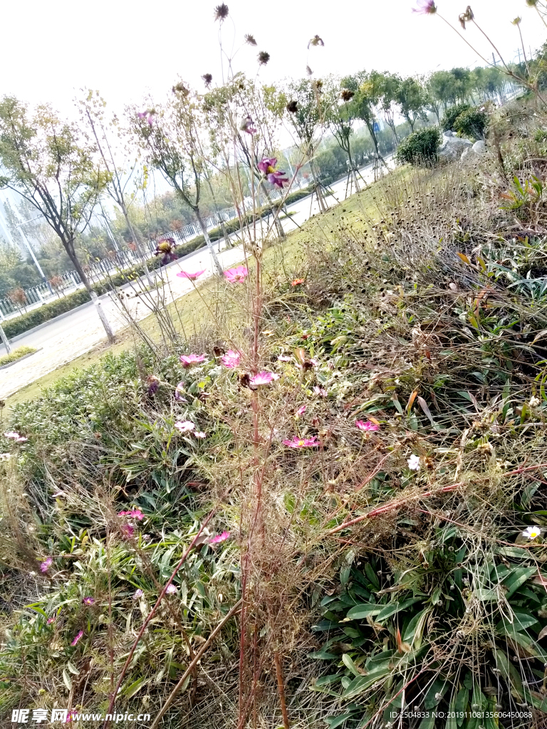 自然风景