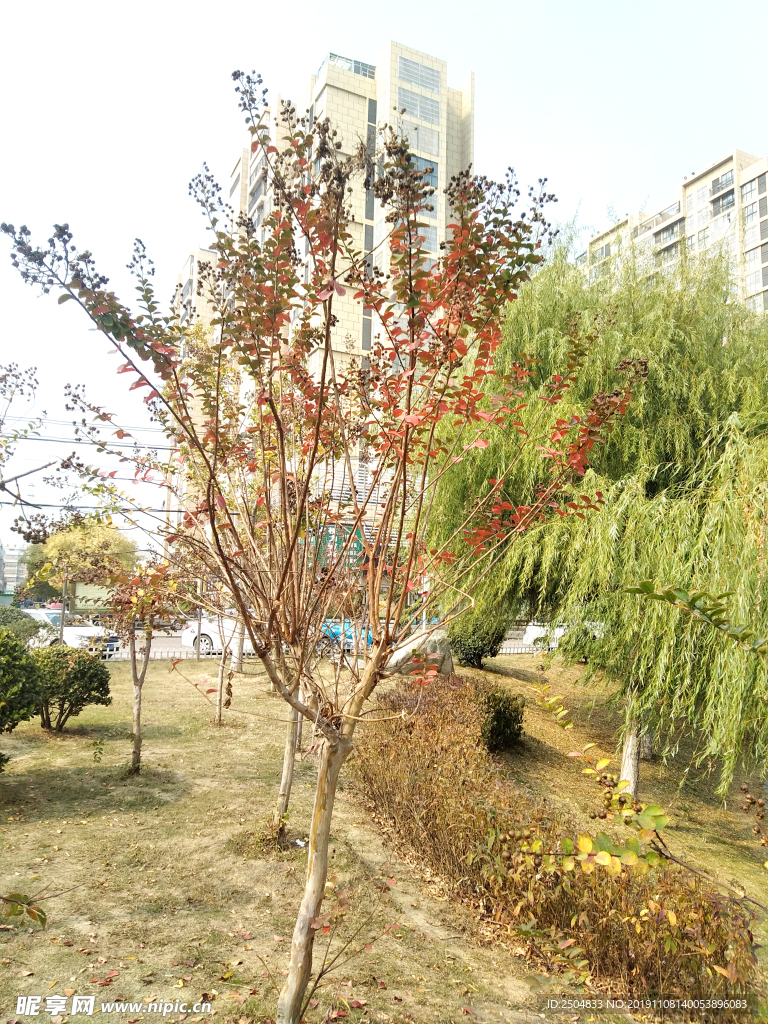 自然风景