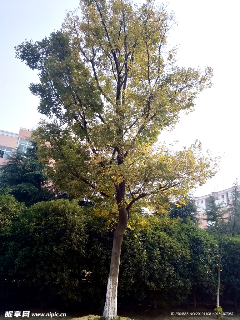 自然风景
