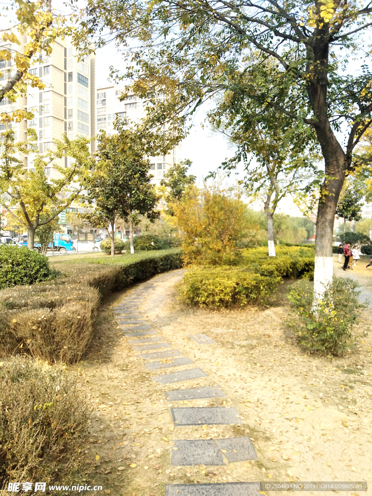 自然风景