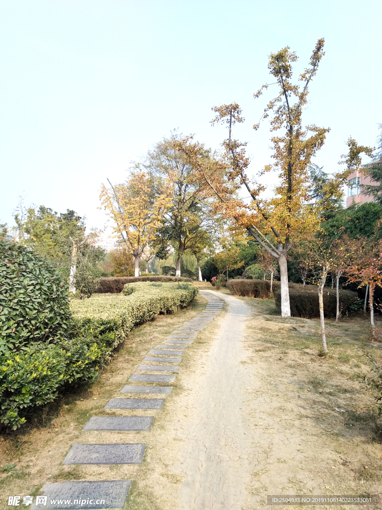 自然风景