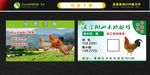 清远鸡名片 阳山鸡名片 养植名