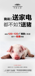 猪肉涨价海报