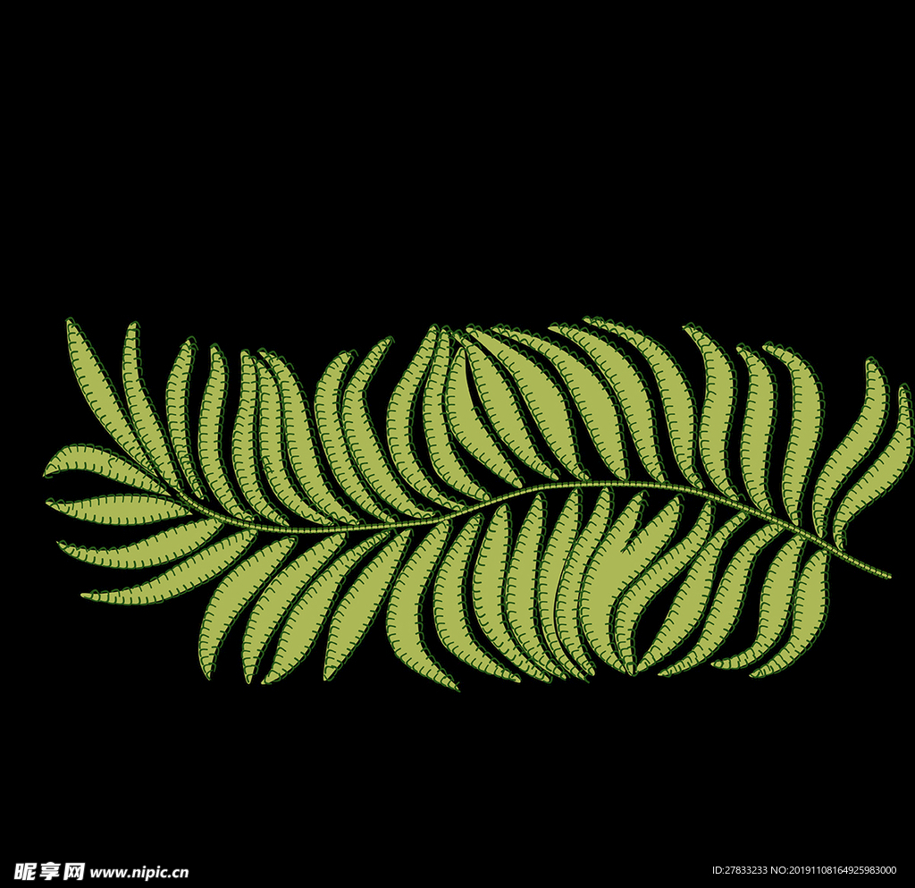热带 植物