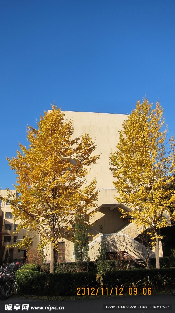 北京大学的建筑