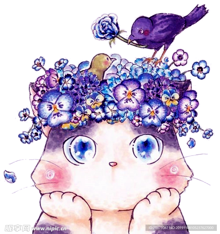 猫