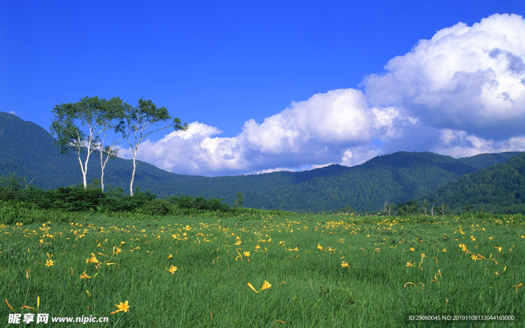 山上的风景