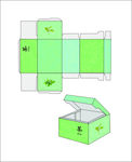 包装盒 绿 展开图 效果图