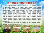 蔬菜扶贫产业基地