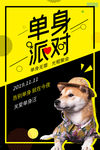 双十一