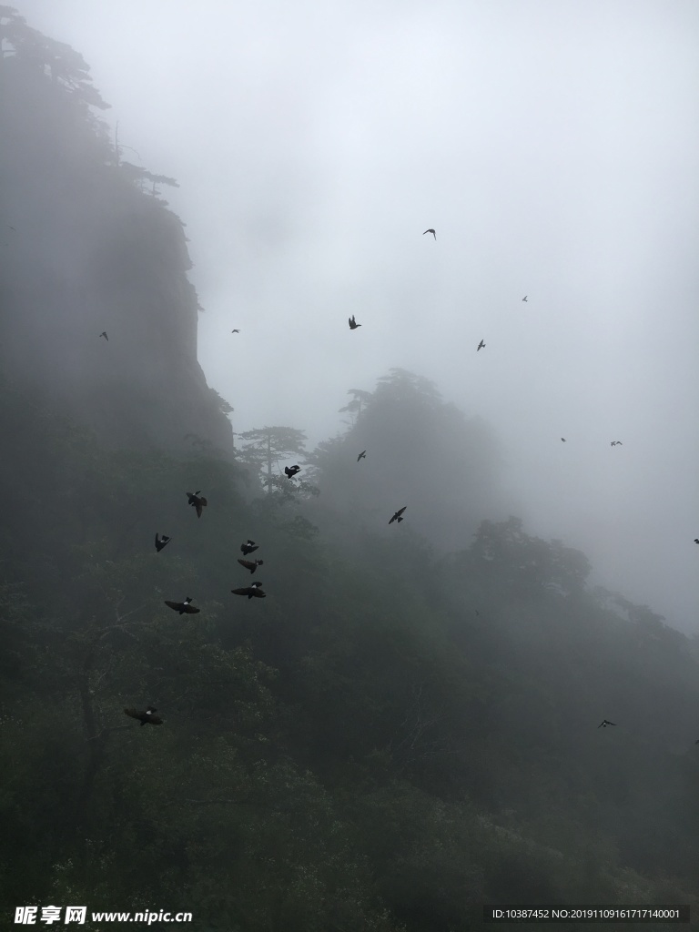 大美黄山