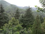 青山