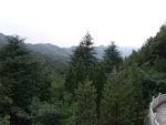青山
