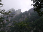 青山