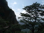 青山